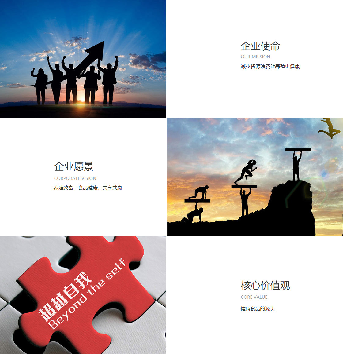 爱游戏AYX官方网站(图1)